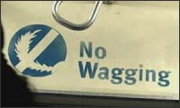 no wagging no wagging