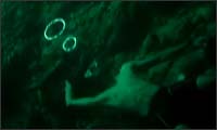 magic bubble magic bubble