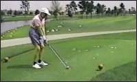 birdie birdie