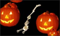 helloween skelett helloween skelett