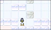 penguin push penguin push