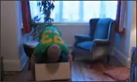 box box