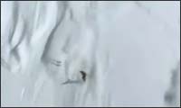 snowboarder snowboarder