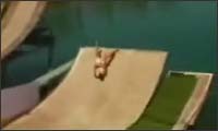 clip compilation clip compilation