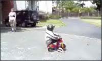 jackass kids jackass kids