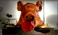 roast pig