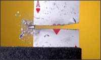 bullet bullet