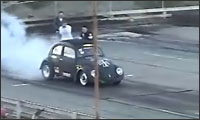 powerful beetle powerful beetle