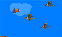 bird ace bird ace