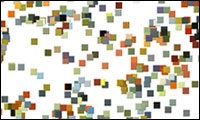 the broth - the global mosaic the broth - the global mosaic