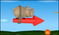 pig on the rocket