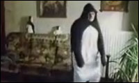 pinguin freak