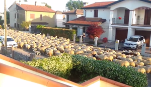 Beim Nachbarn schmeckts am besten Beim Nachbarn schmeckts am besten