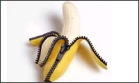 zip it zip it