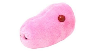 Plüschtier Giant Microbes