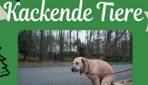 Kackende Tiere