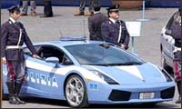 cop cars cop cars