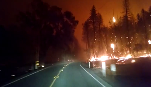 Fahrt durch einen brennenden Wald Fahrt durch einen brennenden Wald