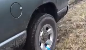 Mit dem Wagen festgefahren Mit dem Wagen festgefahren