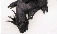 drachen rucksack drachen rucksack