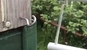 Haken reindrehen Haken reindrehen