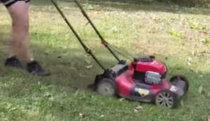 Ein echter Kerl beim Rasenmähen