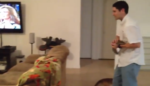 Eichhörnchen-Hadoken Eichhörnchen-Hadoken