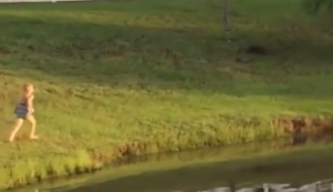 Auf die Gans losgelassen