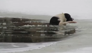 Hund aus Eiswasser retten