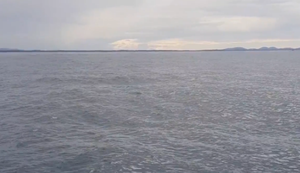 Neulich beim Whale Watching