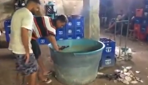 Braukunst mal anders