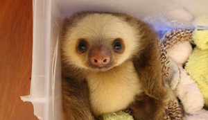 Emok Picdump #425 Emok Picdump #425