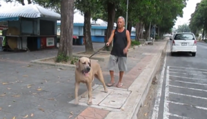 Immer auf die Kleinen Immer auf die Kleinen