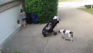 Kurz aus den Augen gelassen