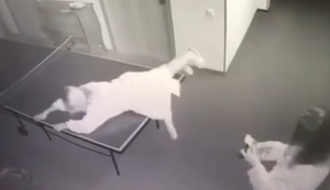 Fotos auf der Tischtennisplatte machen