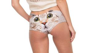 Pussy-Unterwäsche