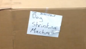Hunde-Schrumpf-Maschine
