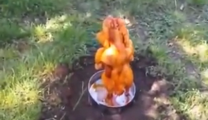 Hähnchen schön kross zubereiten