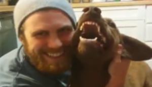 Hund aus der Hölle Hund aus der Hölle