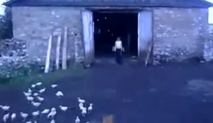 Hier herrscht Zucht und Ordnung