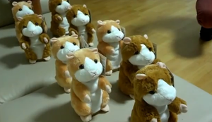 Mighty Mighty Hamsters