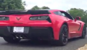 Mit der Corvette ins Grüne Mit der Corvette ins Grüne