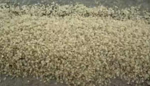 Das Buffet ist eröffnet Das Buffet ist eröffnet