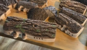 Ein besonderes Stück Holz