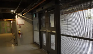 Intelligente Schwalben