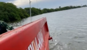 Unterwegs mit dem Containerschiff