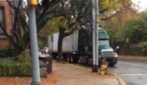 Truck vs Baum