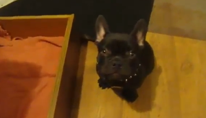 Es ist Zeit fürs Bettchen!