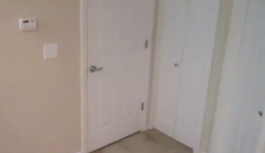 Katze öffnet alle Türen
