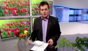 Ganz schnell abtauchen